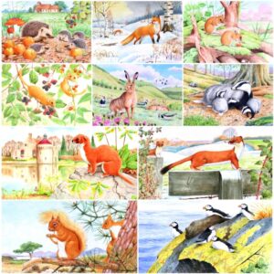 Biglietti auguri fauna selvatica David Thelwell confezione