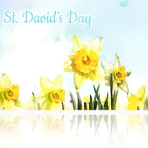 Calamita gallese San Davide narcisi acrilico decorazione